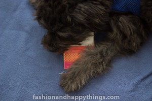 Fashion and Happy Things!   Emi Jay Hairtie Review 