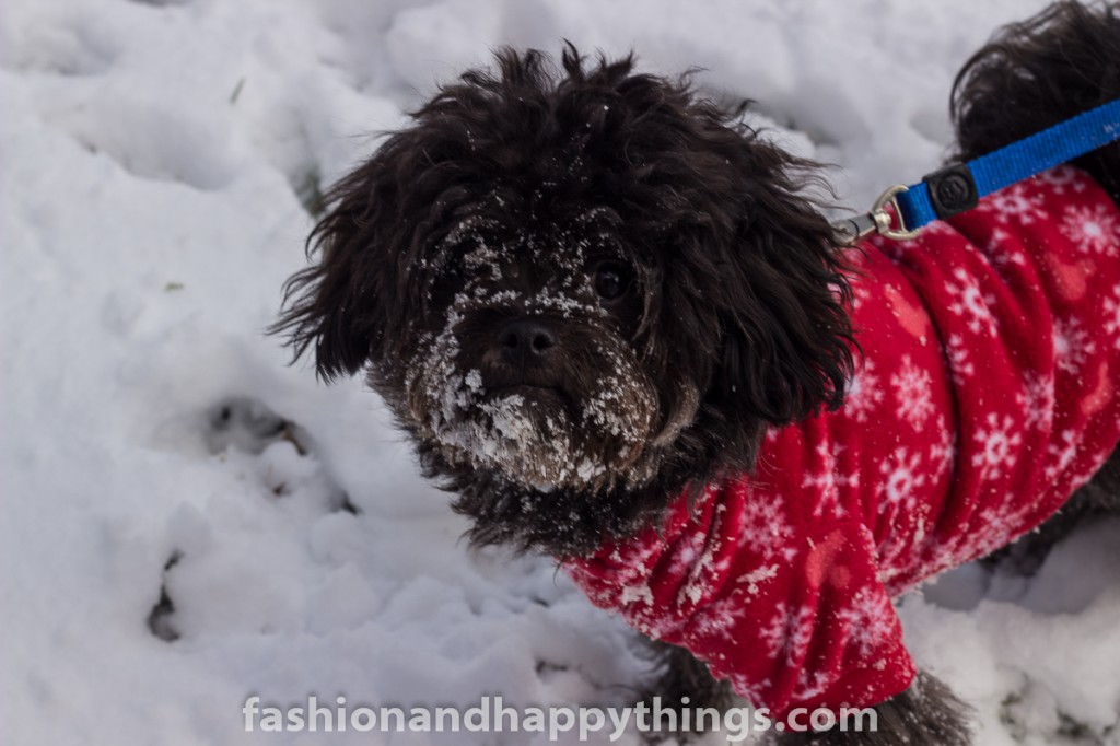 Fashion and Happy Things!   Blogmas Day 8: Snow Day 
