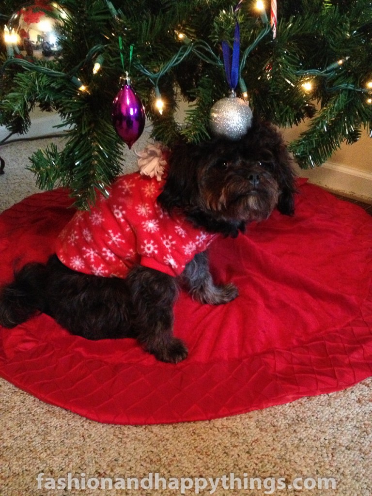 howl under the christmas tree